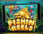 PP-499